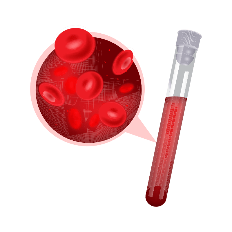 Vollblutanalyse-Didier-1